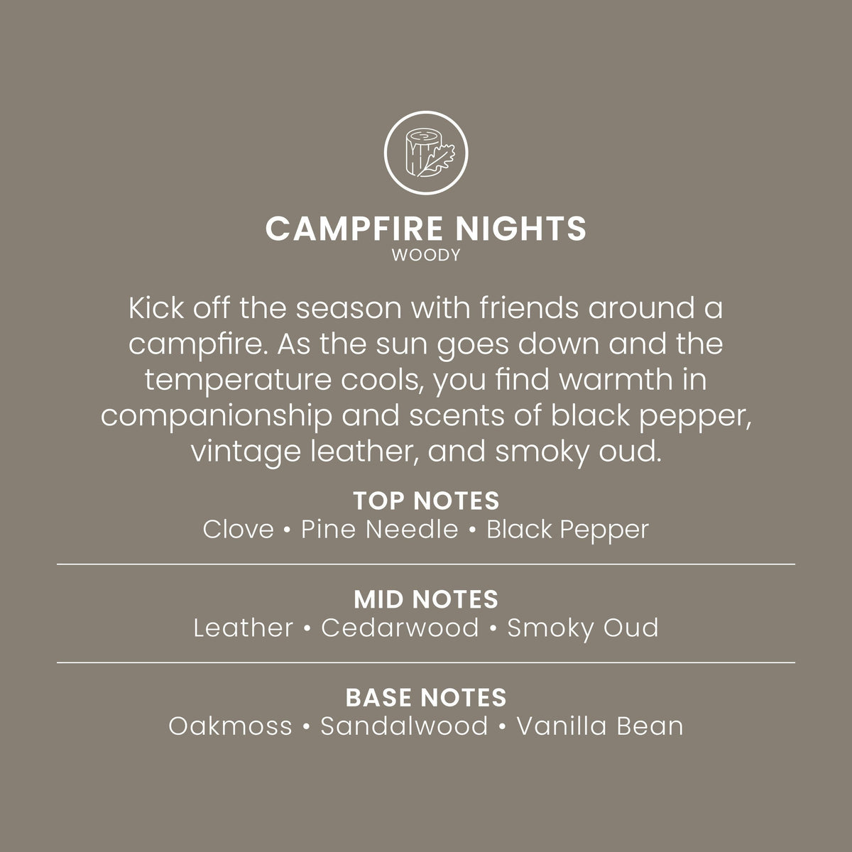 Campfire Nights